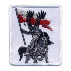 Polish hussars knight & horse