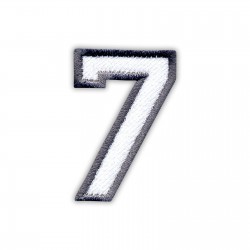 The digit 7 - white