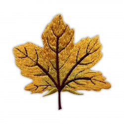 Autumn golden maple leaf - big