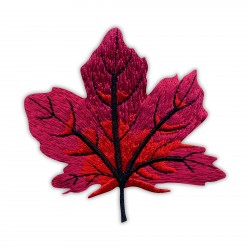 Autumn red maple leaf - big
