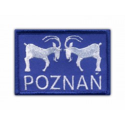 Poznan-white goats