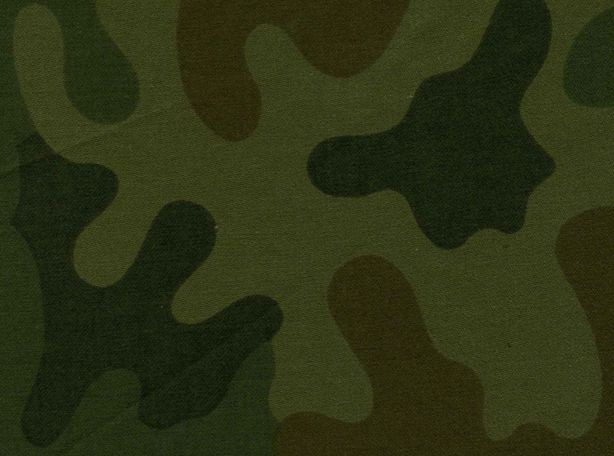 Camouflage wz. 93 